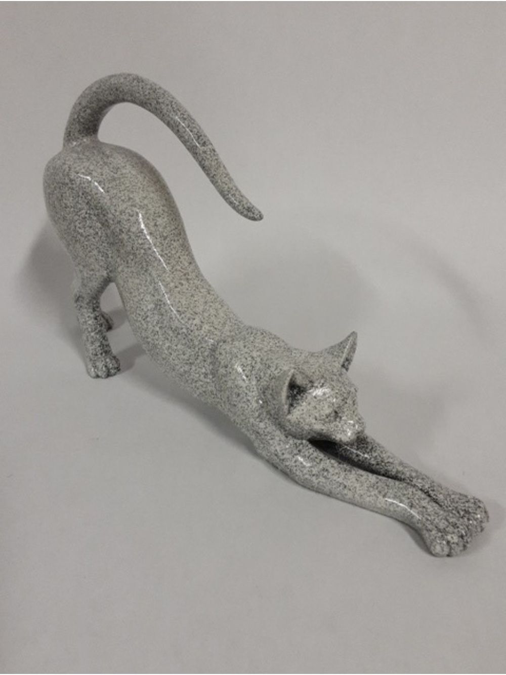 Rare Sleek Cat Playful Stretching Pose
